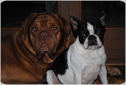 Willi und Trulla