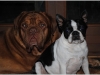 Willi und Trulla
